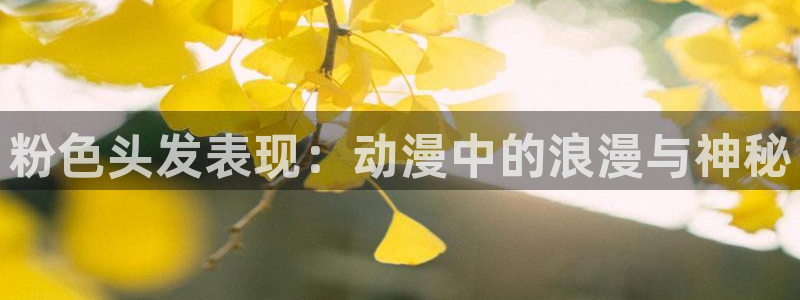 里番动漫 在线观看