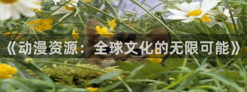 有里番的动漫