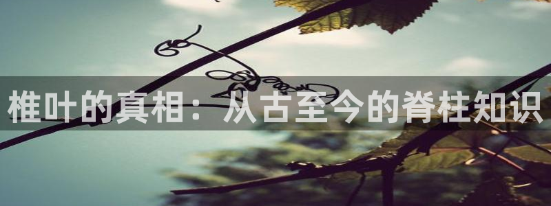 里番动漫之家