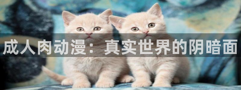 里番动漫在线观动漫
