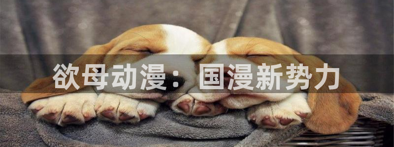 里番工口漫画在线观看