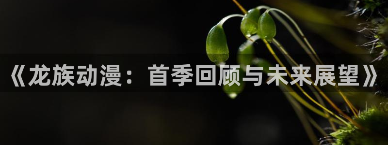 里番漫画全彩大全