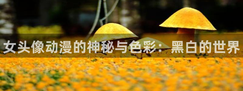 里番动漫在哪里看