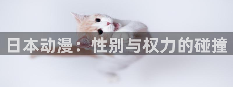 里番动漫 在线观看