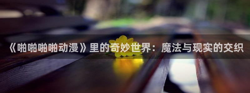 里番动漫在线网