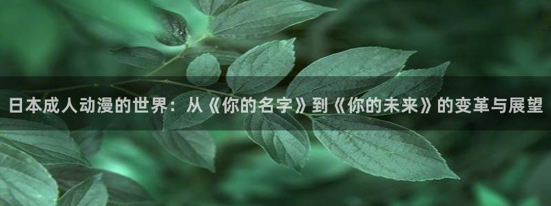 精品里番：日本成人动漫的世界：从《你的名字》到《你的未来》的变革与展望