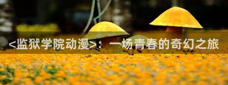 全彩工口里番漫画：<监狱学院动漫>：一场青春的奇幻之旅