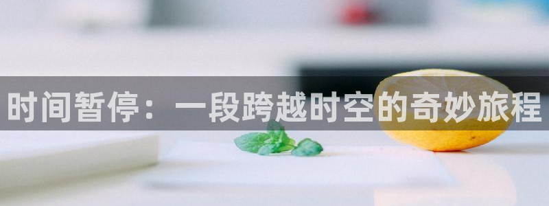工口里番漫画：时间暂停：一段跨越时空的奇妙旅程