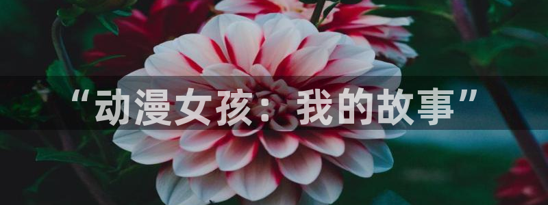 里番漫画在哪看比较好的软件
