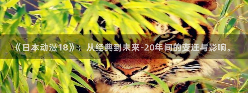 动漫里番网