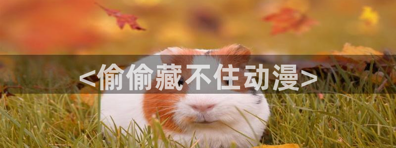 涩里番动漫免费网站