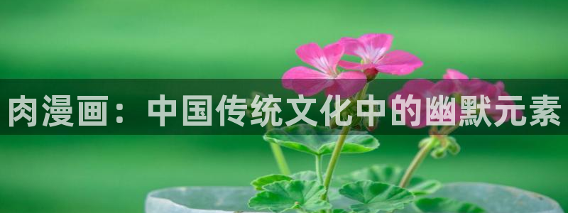 日漫 里番