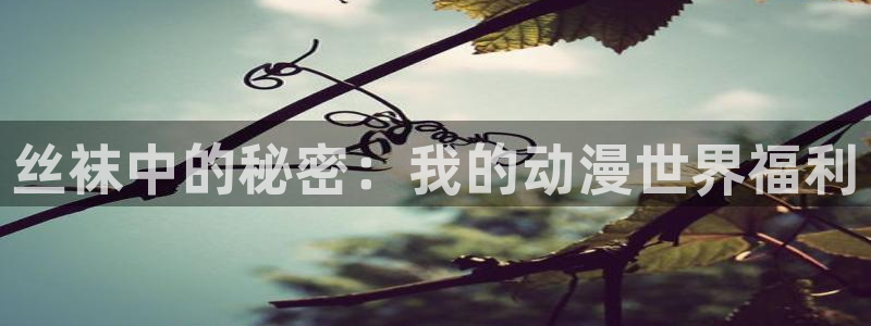 剧情好的里番动漫