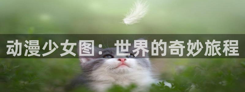 里番动漫免费在线看