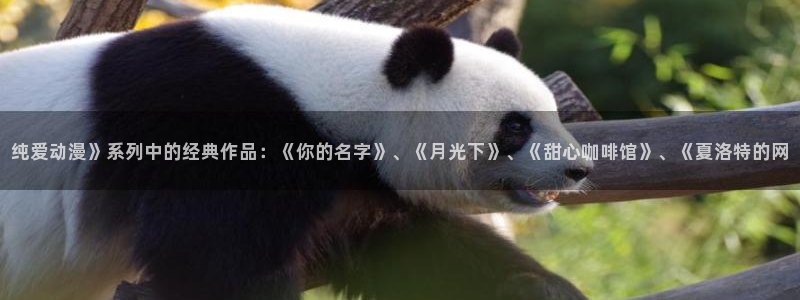 日漫里番在线观看：纯爱动漫》系列中的经典作品：《你的名字》、《月光下》、《甜心咖啡馆》、《夏洛特的网