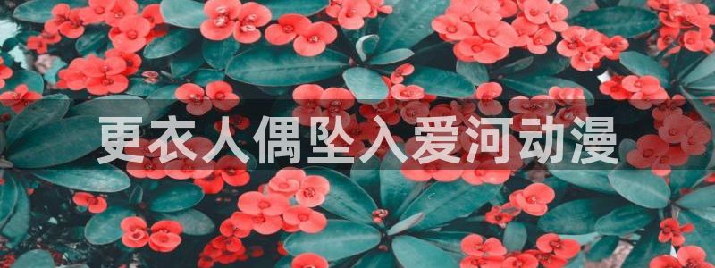 里番日本动漫：更衣人偶坠入爱河动漫
