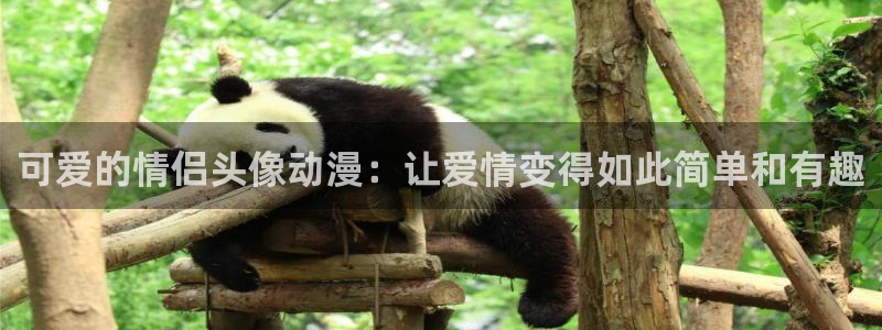 优质里番：可爱的情侣头像动漫：让爱情变得如此简单和有趣