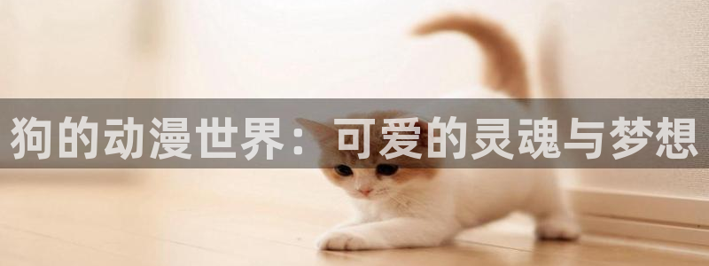 动漫里番 在线：狗的动漫世界：可爱的灵魂与梦想