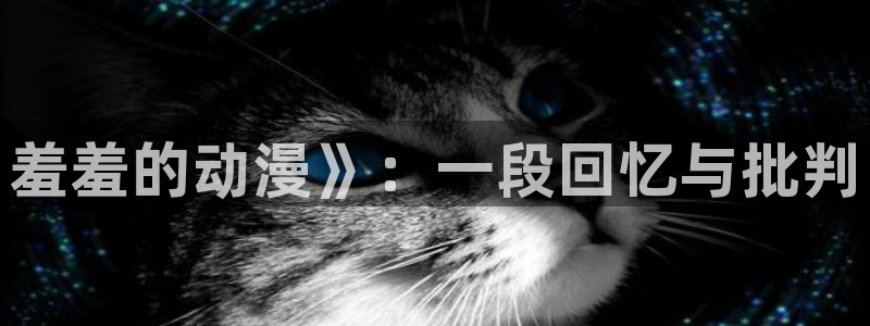 工口里番漫画：羞羞的动漫》：一段回忆与批判